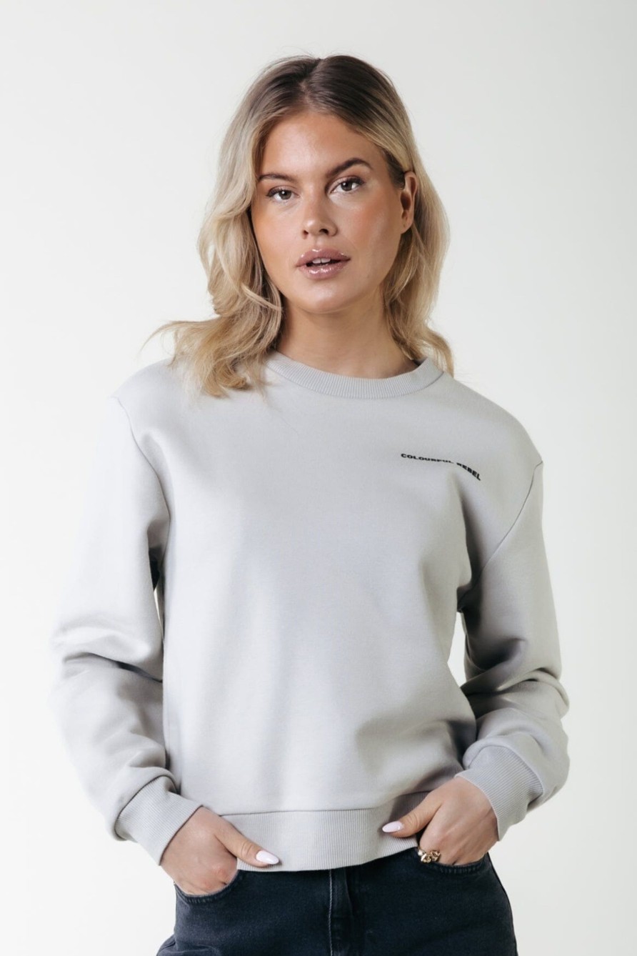 Colourful Rebel Truien | Uni Logo Sweat|Light Grey