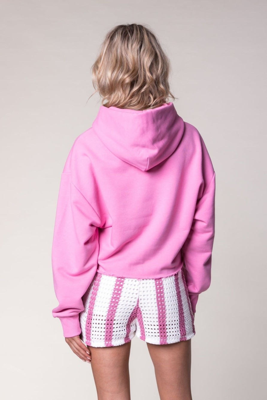 Colourful Rebel Hoodies | Puff Logo Cropped Hoodie|Medium Pink