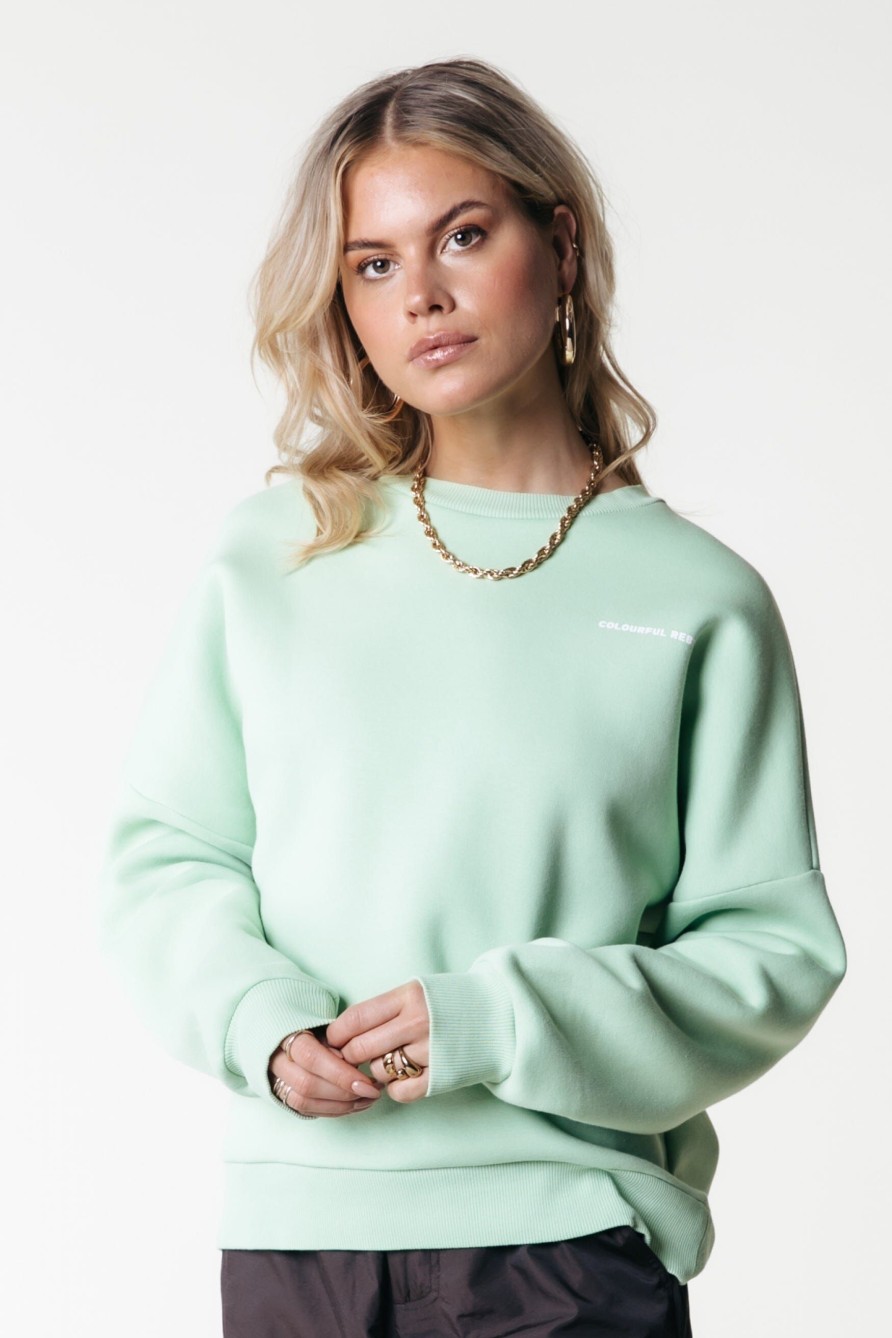 Colourful Rebel Truien | Flower Sweat|Soft Green